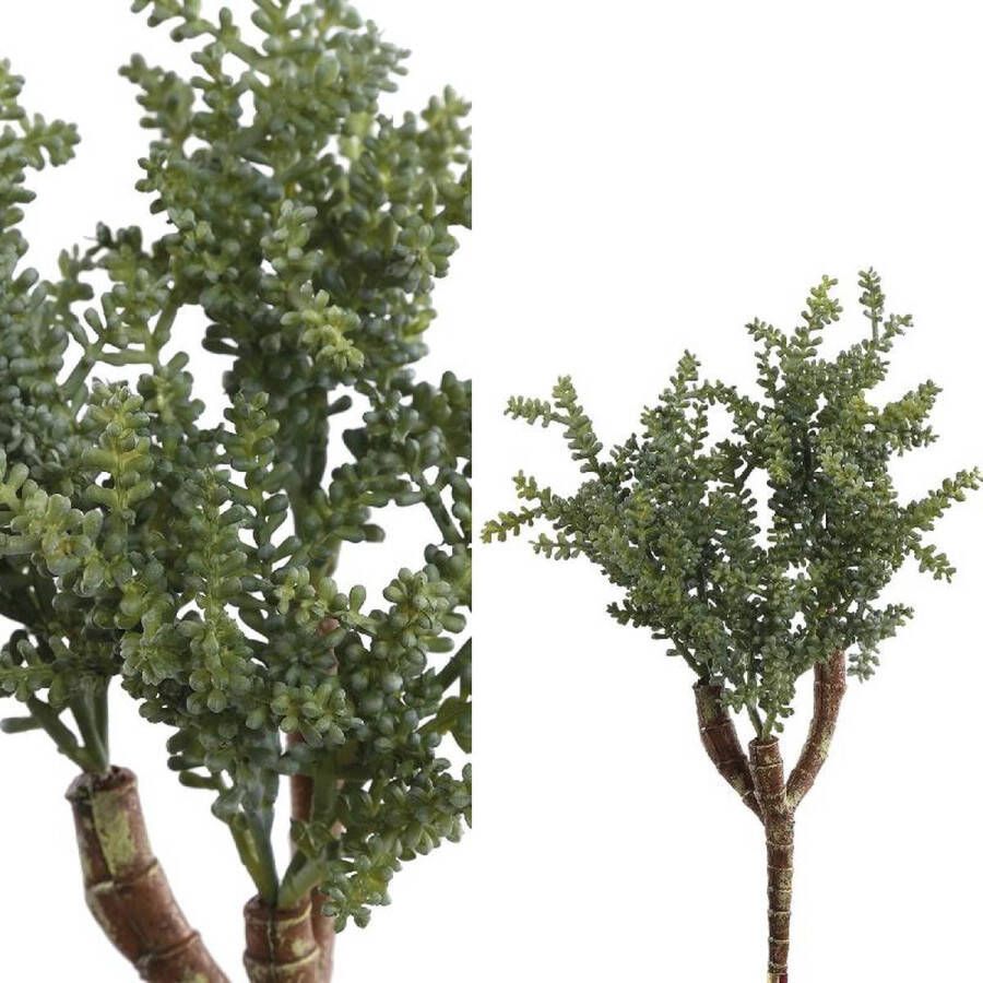 PTMD Collection Ptmd Sedum Kunsttak 19 X 18 X 28 Cm Groen