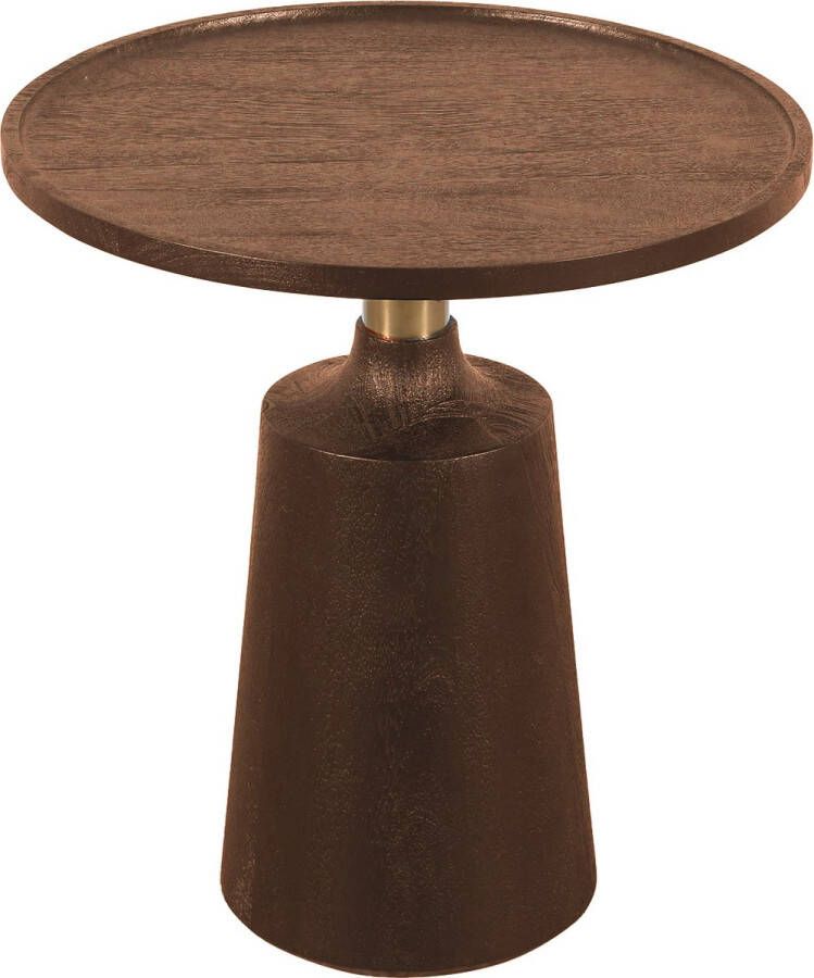 Ptmd Collection PTMD Seva brown side table