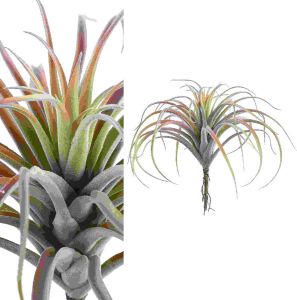 PTMD COLLECTION PTMD Succulent Plant Tillandsia Pluk Kunsttak 20 x 30 x 30 cm Roze