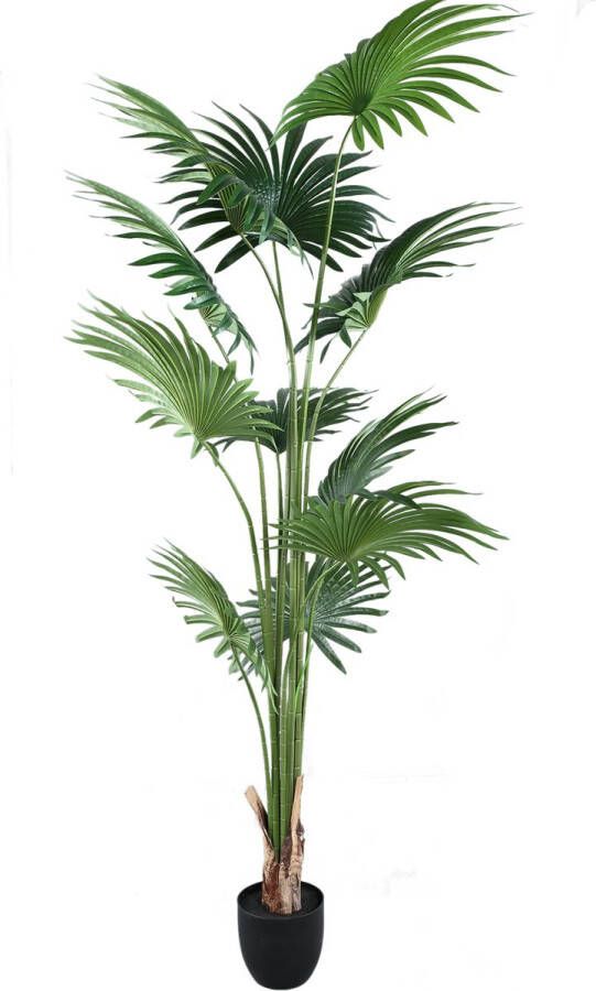 PTMD COLLECTION PTMD Tree Green palm 11 leaves in pot
