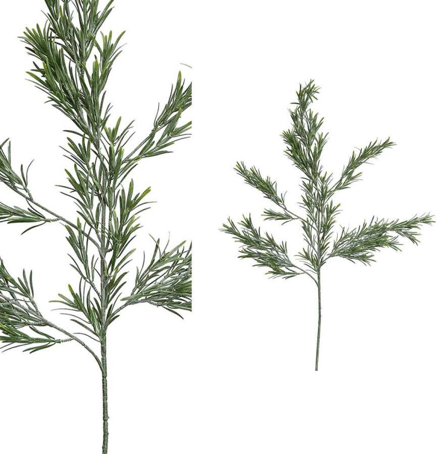 PTMD COLLECTION PTMD Twig Plant Podocarpus Kunsttak 53 x 21 x 97 cm Groen