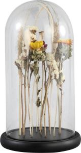 PTMD Rossa Clear glass bell jar with dried flowers A