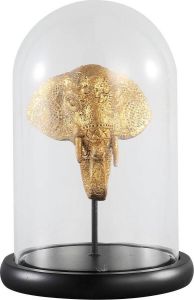 PTMD Rossa Gold glass bell jar elephant statue