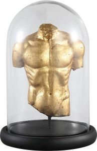 PTMD Rossa Gold glass bell jar torso statue
