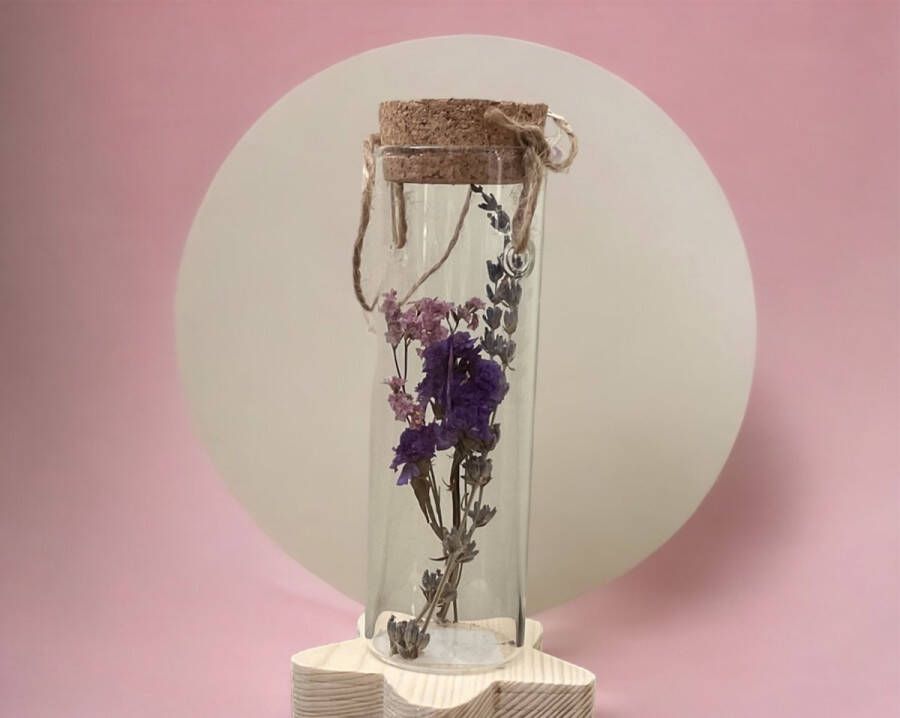PTMD Tube van glas met droogbloemen kurken deksel kan hangen Valentijn Moederdag