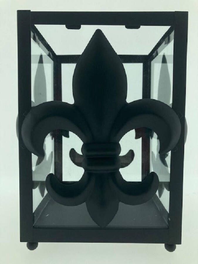PTMD Windlicht Lantaarn Merk Zwart metaal met glas Large model 25cm hoog 17x17cm
