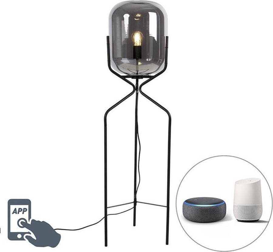 QAZQA bliss Design Dimbare LED Smart Vloerlamp Staande Lamp incl. wifi met Dimmer 1 lichts H 120 cm Zwart Woonkamer Slaapkamer Keuken