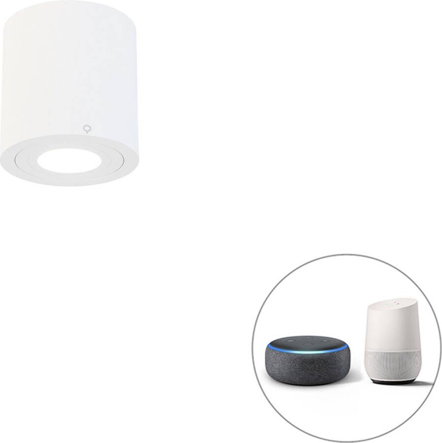 QAZQA capa Moderne LED Dimbare Smart Plafondspot Spotje Opbouwspot incl. wifi met Dimmer voor badkamer 1 lichts Ø 9 cm Wit