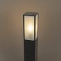 QAZQA charlois Moderne Staande Buitenlamp Staande Lamp voor buiten 1 lichts H 80 cm Transparant Buitenverlichting - Thumbnail 3