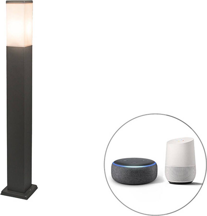 QAZQA malios Moderne Dimbare LED Smart Staande Buitenlamp Staande Lamp voor buiten incl. wifi met Dimmer 1 lichts H 80 cm Donkergrijs Buitenverlichting