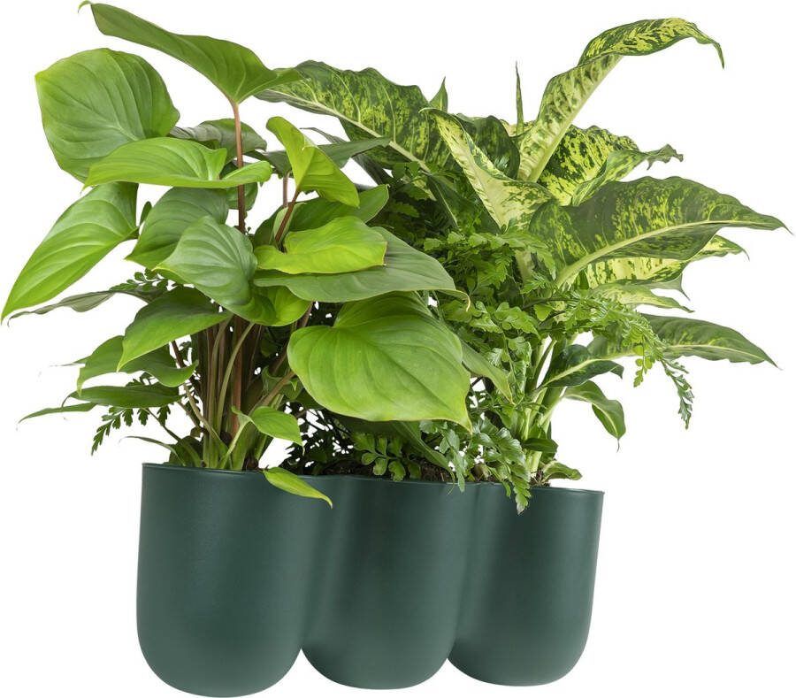 QUVIO Bloempot voor aan de wand Bloempotten voor binnen Bloempotten voor buiten Bloempotten Bloempot buiten Bloempot binnen Bloempotten kunststof Plantenbak Moestuinbak Balkonbak 15 x 43 5 cm Donkergroen
