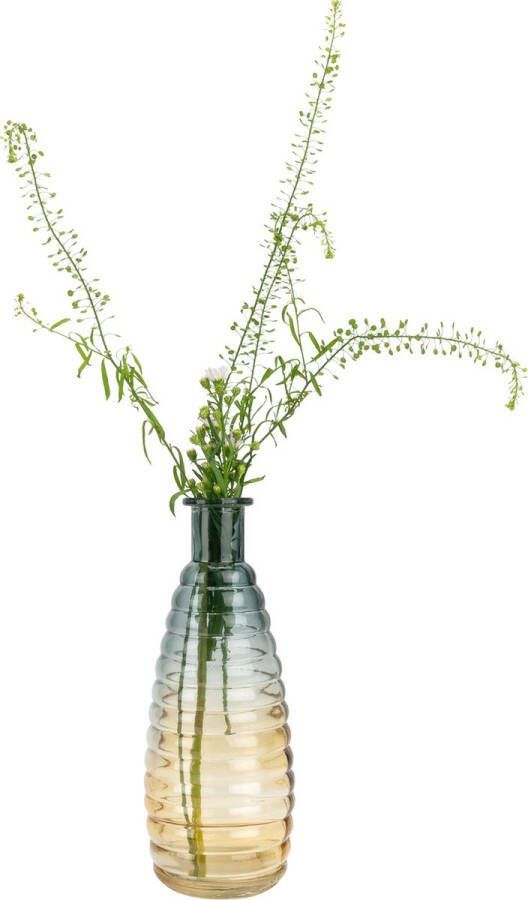 QUVIO Glazen vaas Vaasje Vaas glas vaasjes 6 x 19 5 cm (dxh) Geel Blauw