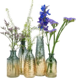 QUVIO Glazen vazen Set van 5 Vaasjes voor droogbloemen Vaasjes voor echte bloemen Retro vazen Woonaccessoires voor bloemen en boeketten Woondecoratie Glas Geel Blauw
