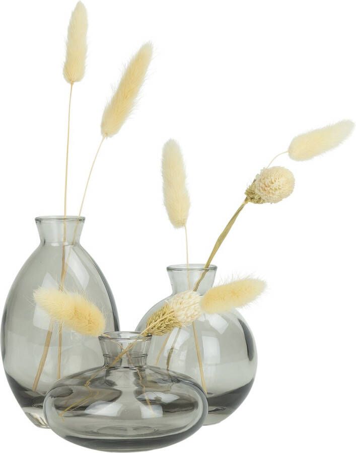 QUVIO Vazen set van 3 Vaas voor droogbloemen Glazen vaas Bloemenvaas Woonaccessoires voor bloemen en boeketten Decoratieve accessoires Glas Transparant groen 7 x 12 cm (dxh)