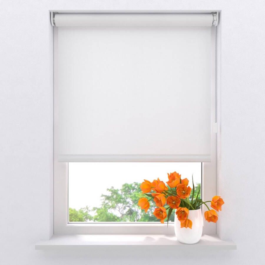 Raamdecoratie.com Elektrisch rolgordijn Easy Lichtdoorlatend Bright White 110 x 275 cm CMD-03