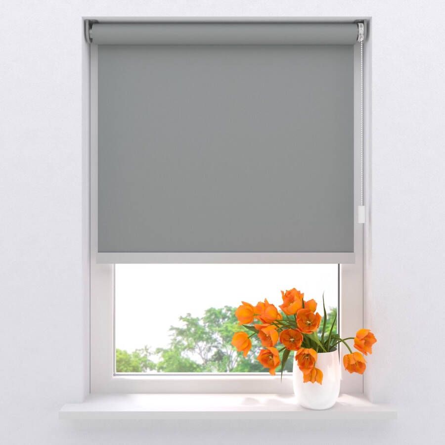 Raamdecoratie.com Elektrisch rolgordijn Easy Soft Verduisterend Light Grey 60 x 190 cm CMD-03
