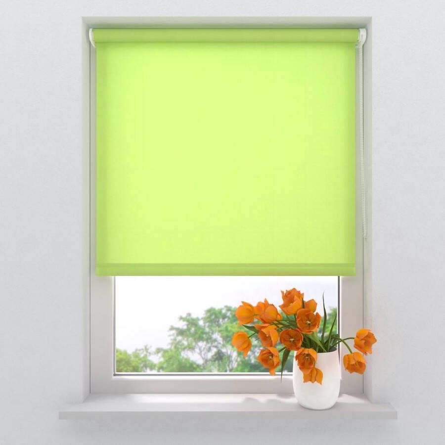 Raamdecoratie.com Rolgordijn Easy Mini Lichtdoorlatend Green 45x150