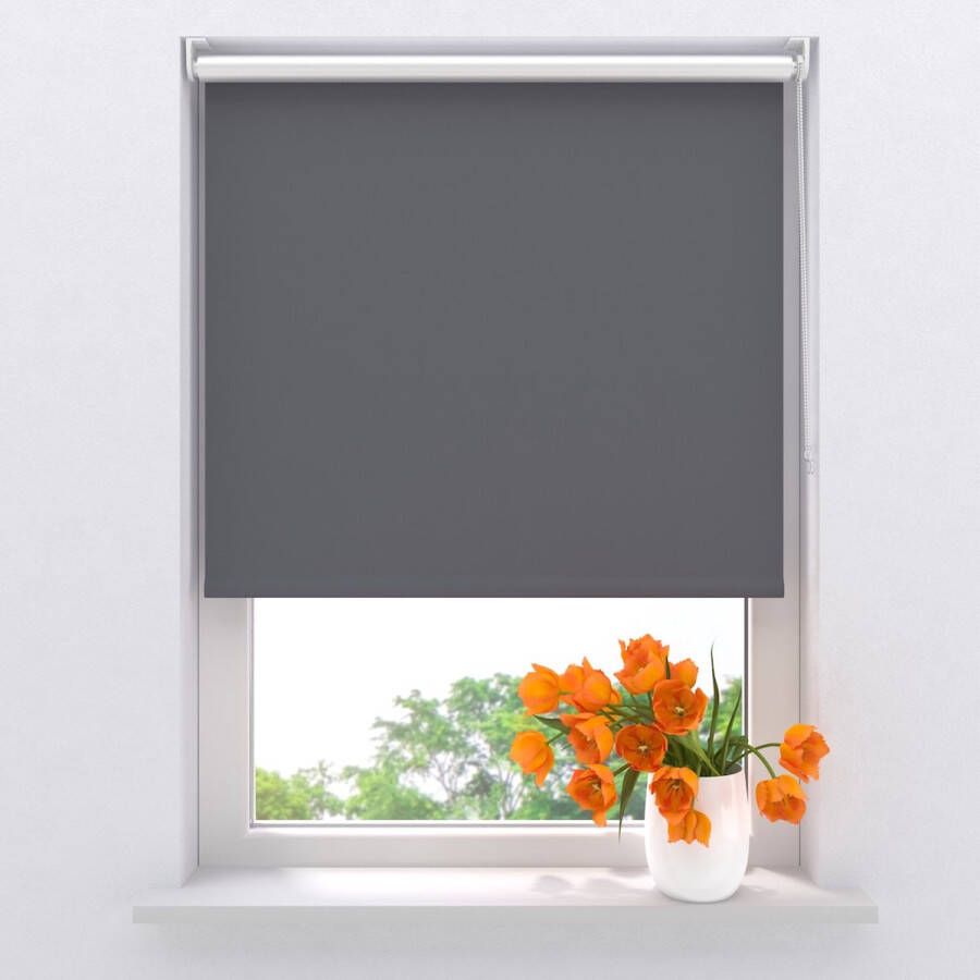 Raamdecoratie.com Rolgordijn Pure mini Thermo Verduisterend Grey 100 x 150 cm