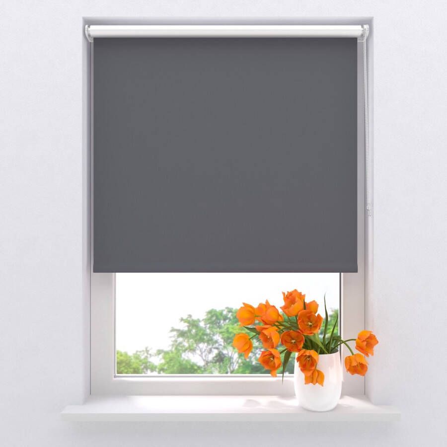 Raamdecoratie.com Rolgordijn Pure mini Thermo Verduisterend Grey 60 x 150 cm