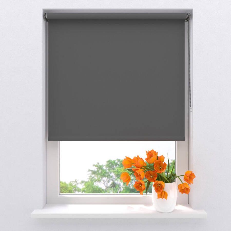 Raamdecoratie.com Rolgordijn Verduisterend Mini Donker Grijs 90 x 150 cm Full Color Montage zonder boren