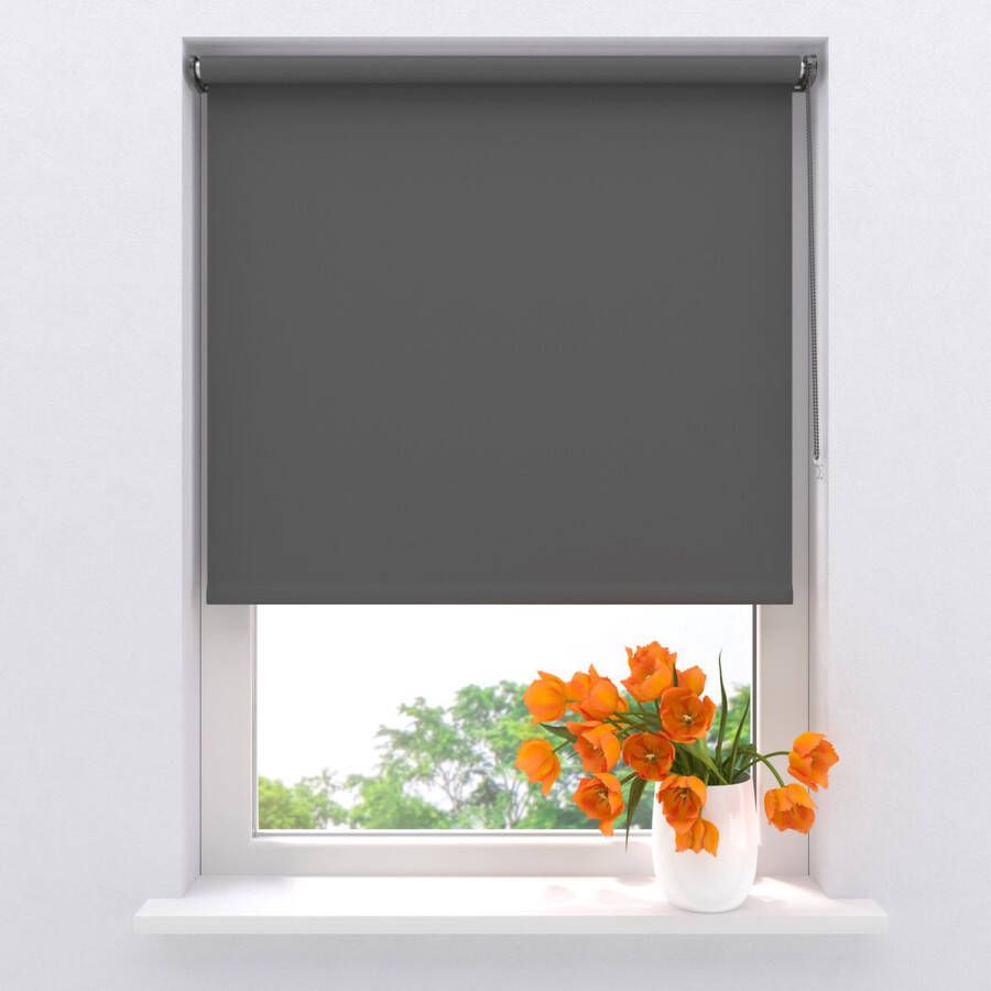 Raamdecoratie.com Rolgordijn Verduisterend Mini Donker Grijs 90 x 220 cm Full Color Montage zonder boren