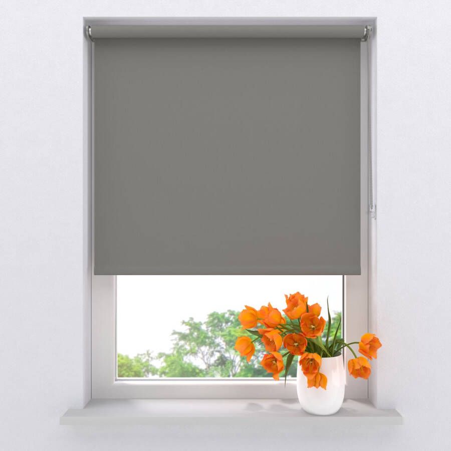 Raamdecoratie.com Rolgordijn Verduisterend Mini Grijs 90 x 220 cm Full Color Montage zonder boren
