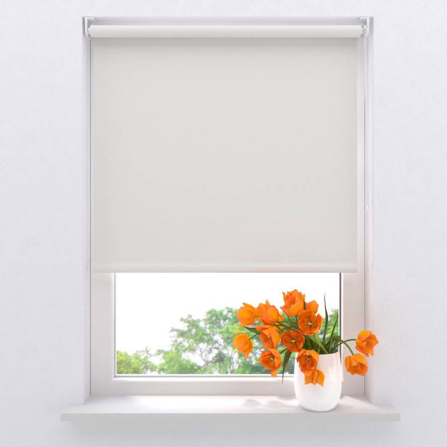 Raamdecoratie.com Rolgordijn Verduisterend Mini Wit 70 x 150 cm Full Color Montage zonder boren
