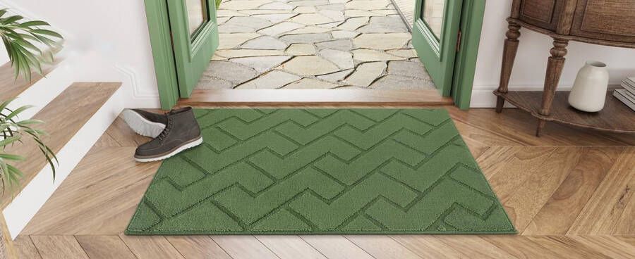 RALA Deurmat – Droogloopmat Binnen en Buiten Wasbaar Ingangsmat Vuilvangmat Antislip Tapijt Voor Ingang Patio Hal Tuin Groen 50 x 80 cm