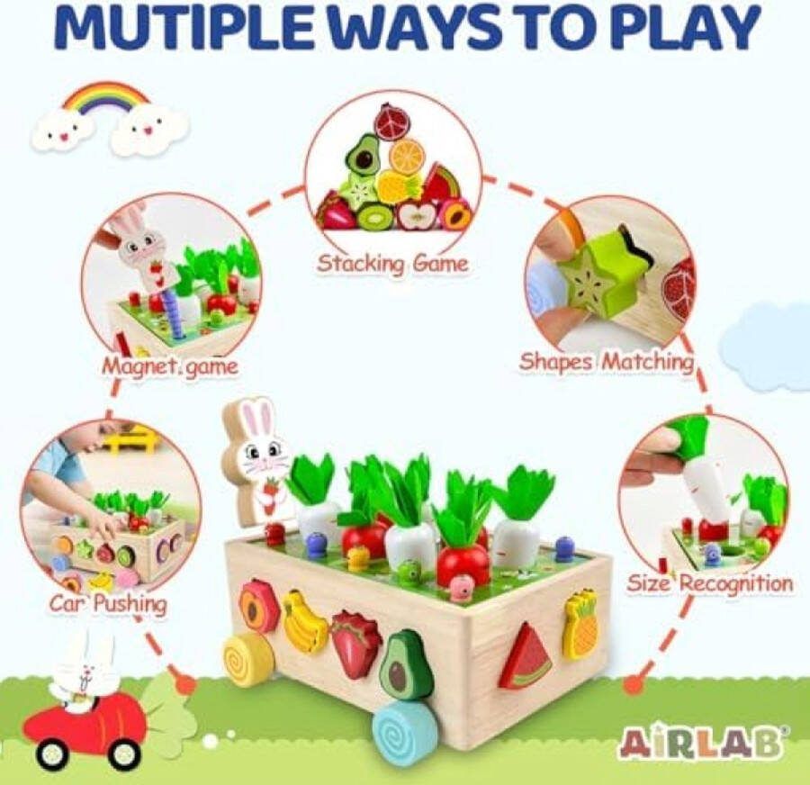 RALA Montessori Educatief Speelgoed voor Meisjes Jongens 1 2 3 Jaar Oud Houten Wortel Oogst Spel Kleurvorm Sorteren Puzzels Stapelen Kubussen Baby Zintuiglijke Fruit Tuin Speelgoed