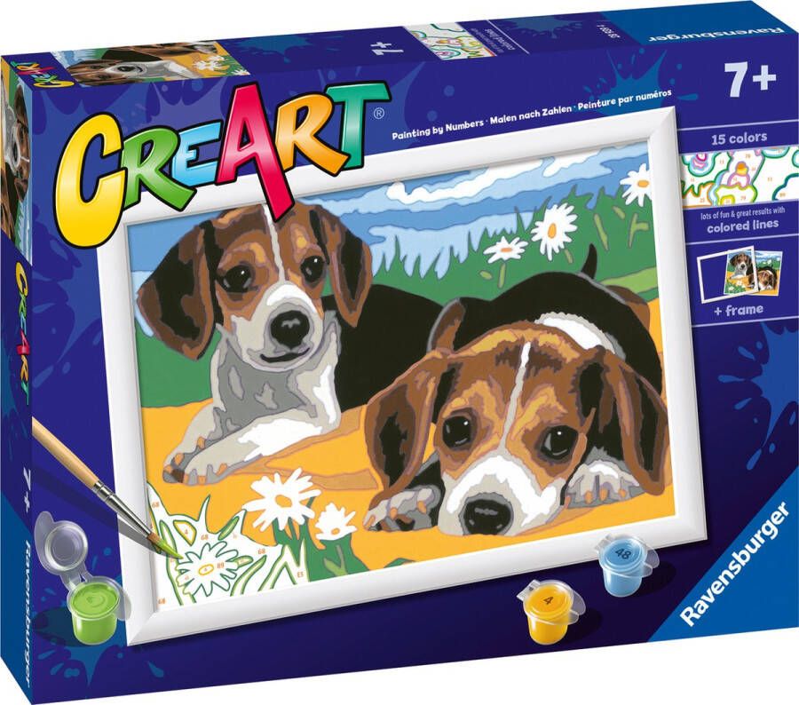 Ravensburger CreArt Beagle Puppies Schilderen op nummer voor kinderen