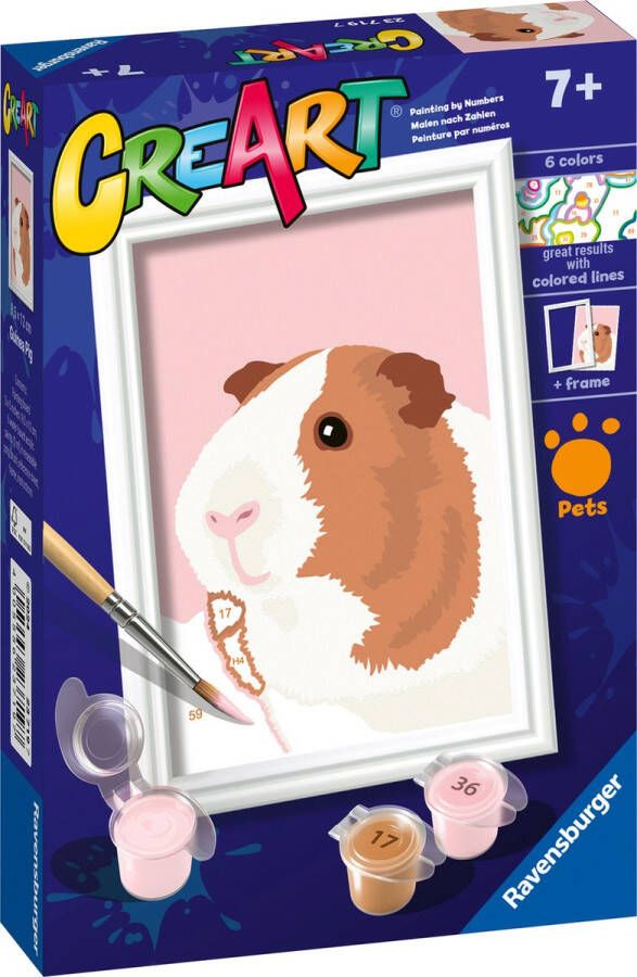 Ravensburger CreArt Guinea pig Schilderen op nummer voor kinderen