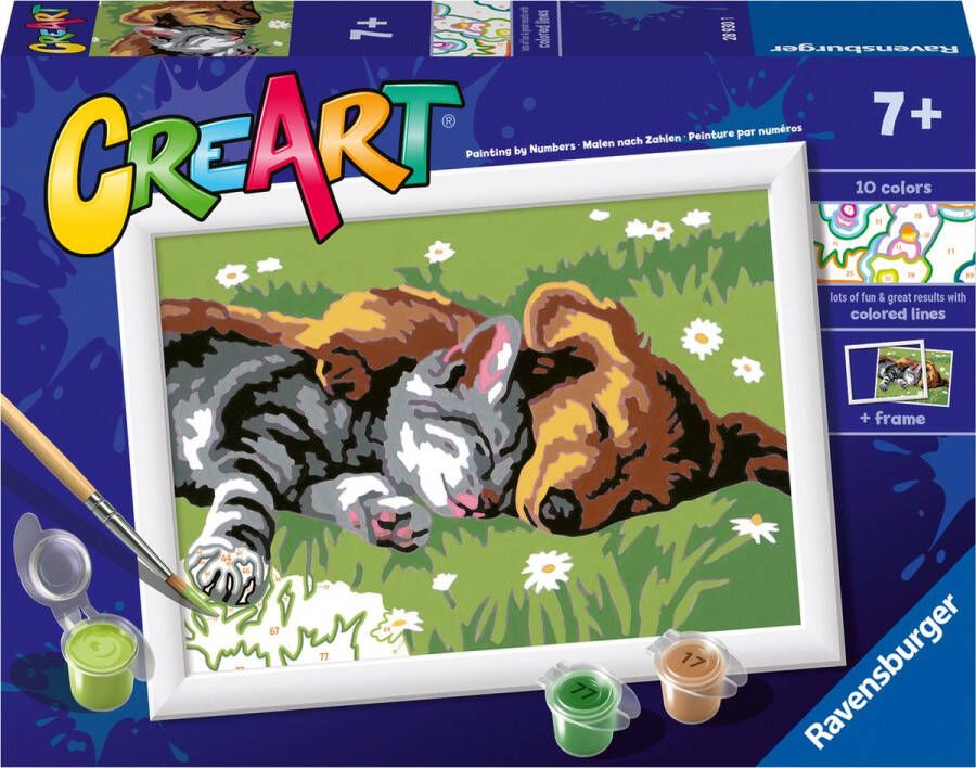 Ravensburger CreArt Sleeping Cats and Dogs Schilderen op nummer voor kinderen