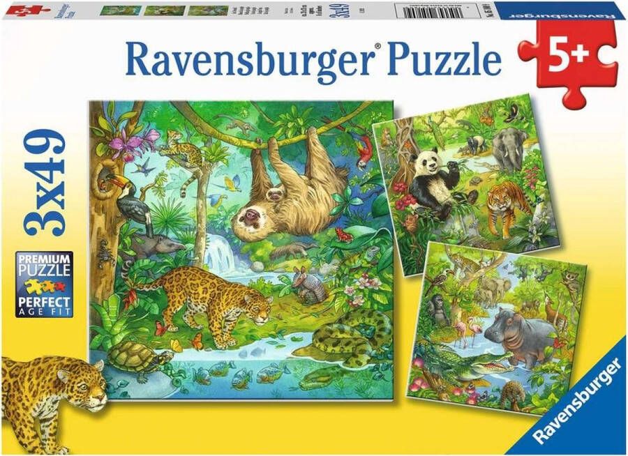 Ravensburger Kinderpuzzel In het oerwoud 3 x 49 stukjes