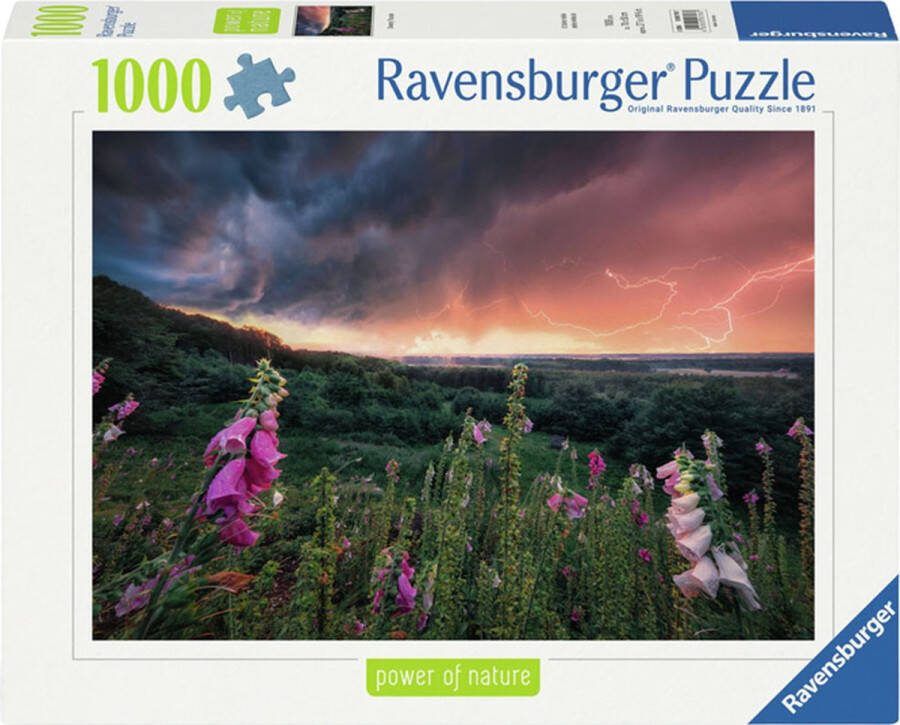 Ravensburger Legpuzzel Ein Sturm Zieht Auf 1000st