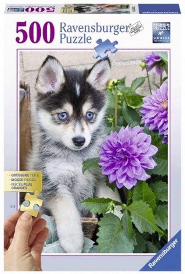 Ravensburger XL Legpuzzel Schattige Husky 500 extra grote puzzelstukken- oudere slechtziende