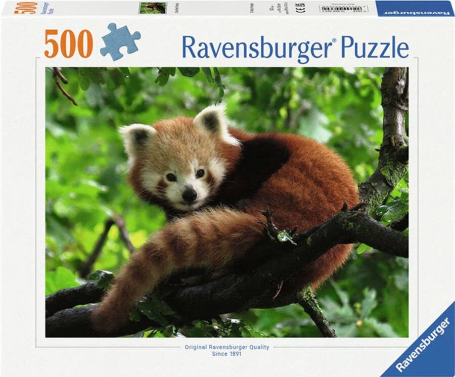 Ravensburger puzzel Schattige Rode Panda 500 stukjes