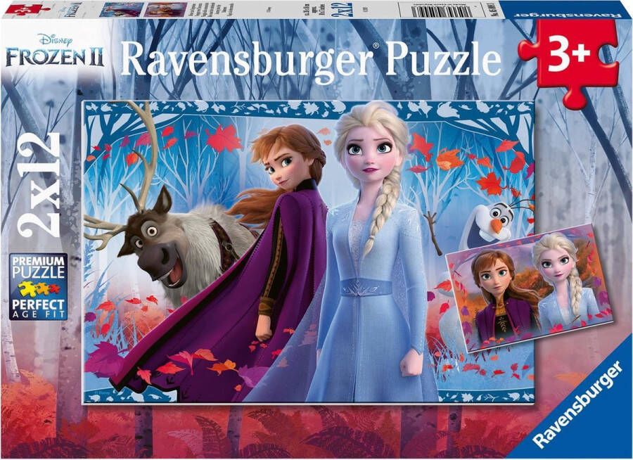 Ravensburger puzzel Disney Frozen 2 2x12 stukjes kinderpuzzel