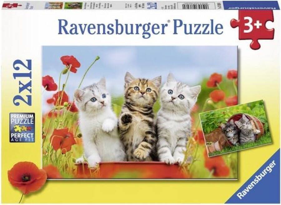 Ravensburger puzzel Katjes op ontdekkingsreis 2x12 stukjes kinderpuzzel