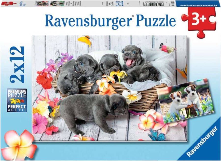Ravensburger puzzel Schattige Haarbolletjes 2x12 stukjes Kinderpuzzel