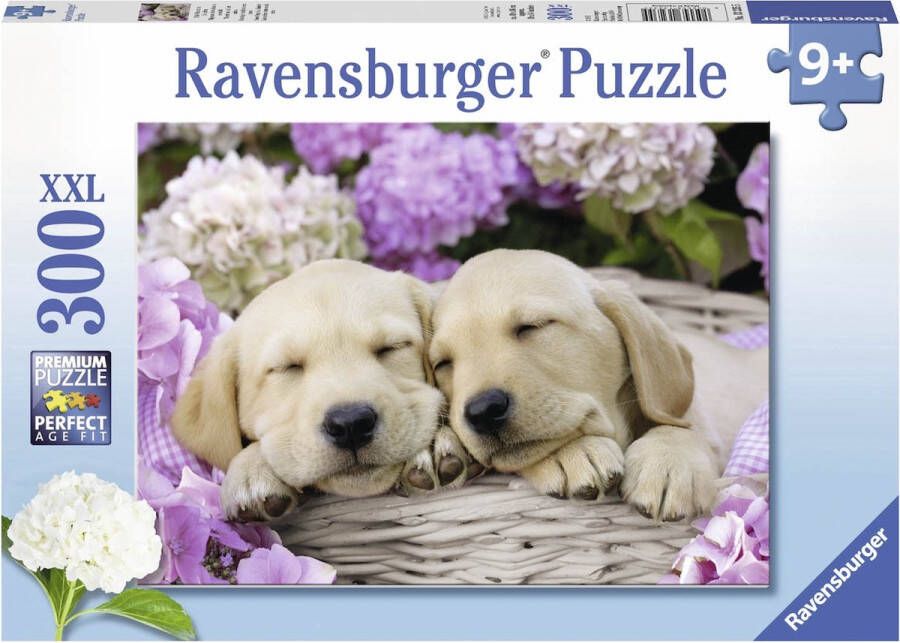 Ravensburger puzzel Schattige hondje in mand legpuzzel 300 stukjes