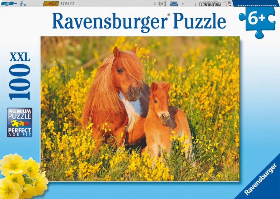 Ravensburger puzzel Shetland Pony's Legpuzzel 100XXL stukjes