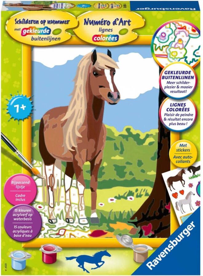 Ravensburger Schilderen op nummer Paard Hobbypakket