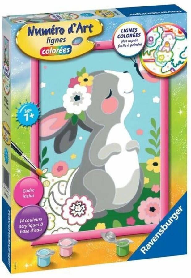 Ravensburger Tekeningen om te schilderen Rabbit and Butterfly