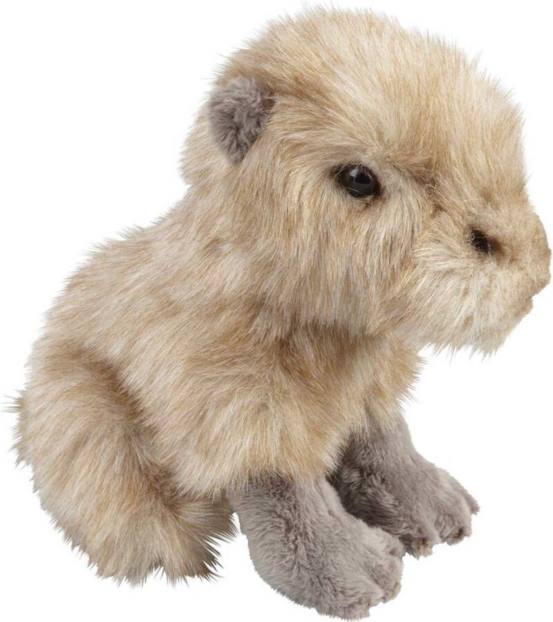 Ravensden Pluche beige zittende capibara waterzwijn knuffel 18 cm Capibaras knaagdieren knuffels Speelgoed voor kinderen