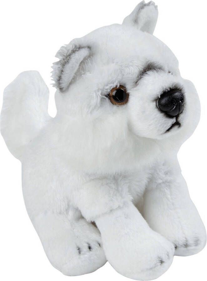 Ravensden Pluche knuffel dieren Artische Wolf 15 cm Speelgoed wolven knuffelbeesten