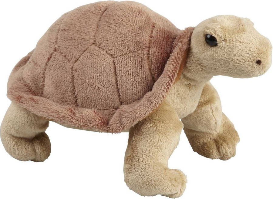 Ravensden Pluche knuffel dieren Land Schildpad van 18 cm Speelgoed schildpadden knuffels Leuk als cadeau voor kinderen