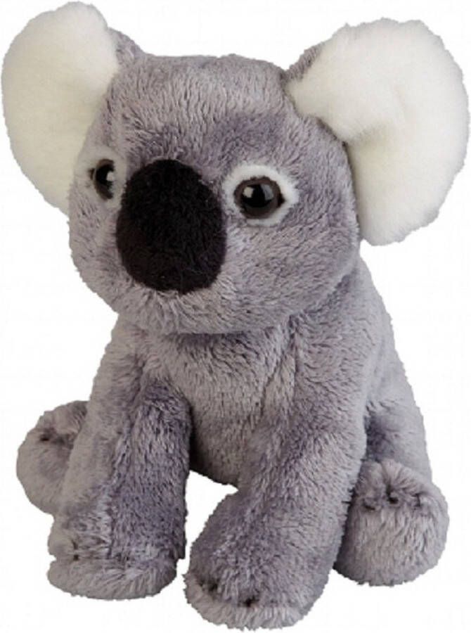 Ravensden Pluche koala beer dieren knuffel 15 cm Knuffelbeesten