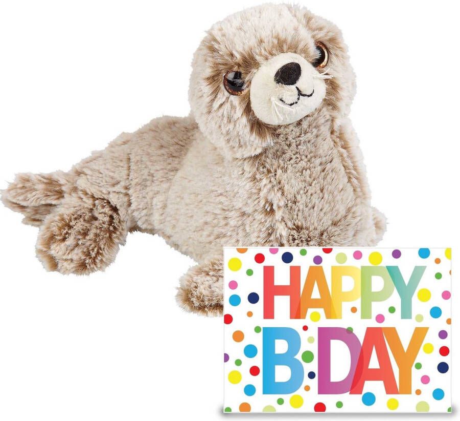 Ravensden Verjaardag cadeau Zeehond pup 23 cm met XL Happy Birthday wenskaart Knuffeldier