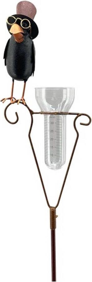 Rawa Geschenken Regenmeter op stok met een raaf met hoed 21x9x152 cm tuinsteker metaal