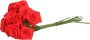 Rayher hobby materialen Rayher Decoratie roosjes satijn bosje van 12 stuks rood 12 cm hobby DIY bloemetjes - Thumbnail 1